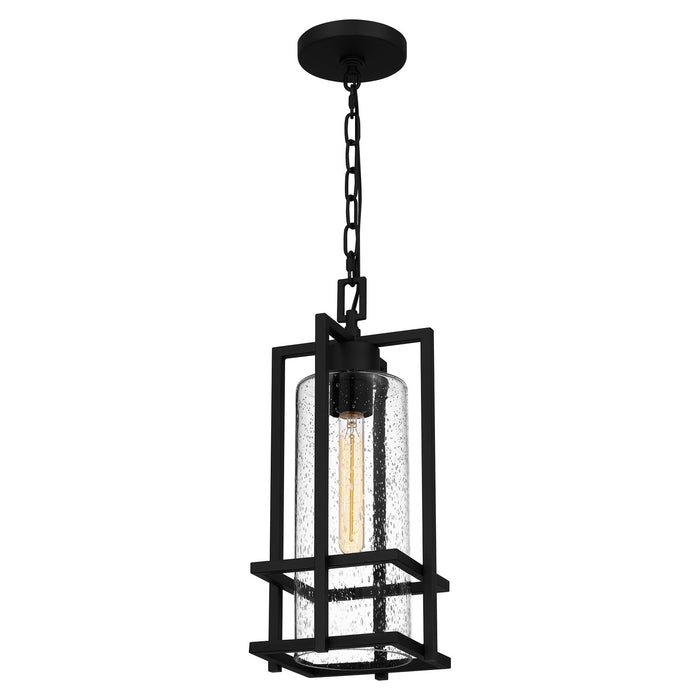 Quoizel DMN1507EK Damien One Light Mini Pendant, Earth Black Alternate Image 3.jpg