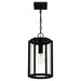 Quoizel HAZ1509EK Hazel One Light Mini Pendant, Earth Black Alternate Image 3.jpg