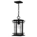 Quoizel MCL1908EK McAlister One Light Outdoor Wall Mount, Earth Black Alternate Image.jpg