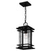 Quoizel MCL1908EK McAlister One Light Outdoor Wall Mount, Earth Black Alternate Image 3.jpg