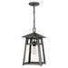 Quoizel MRL1909BBR Merle One Light Outdoor Hanging Lantern, Burnished Bronze Alternate Image.jpg