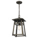 Quoizel MRL1909BBR Merle One Light Outdoor Hanging Lantern, Burnished Bronze Alternate Image 3.jpg