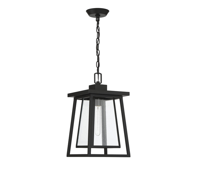 Savoy House 5-2025-BK One Light Outdoor Hanging Lantern, Matte Black (2)