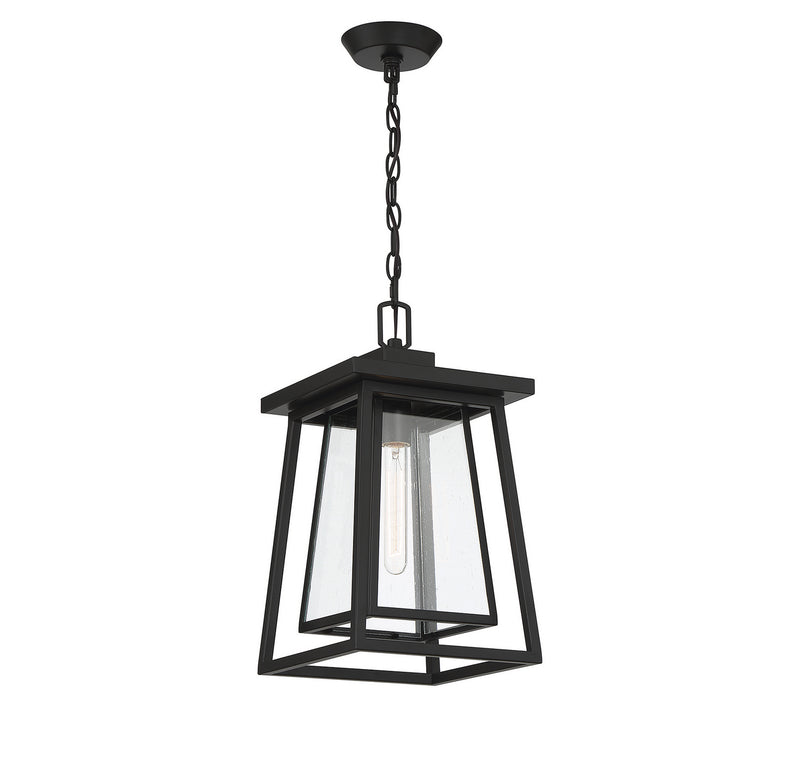 Savoy House 5-2025-BK One Light Outdoor Hanging Lantern, Matte Black (3)