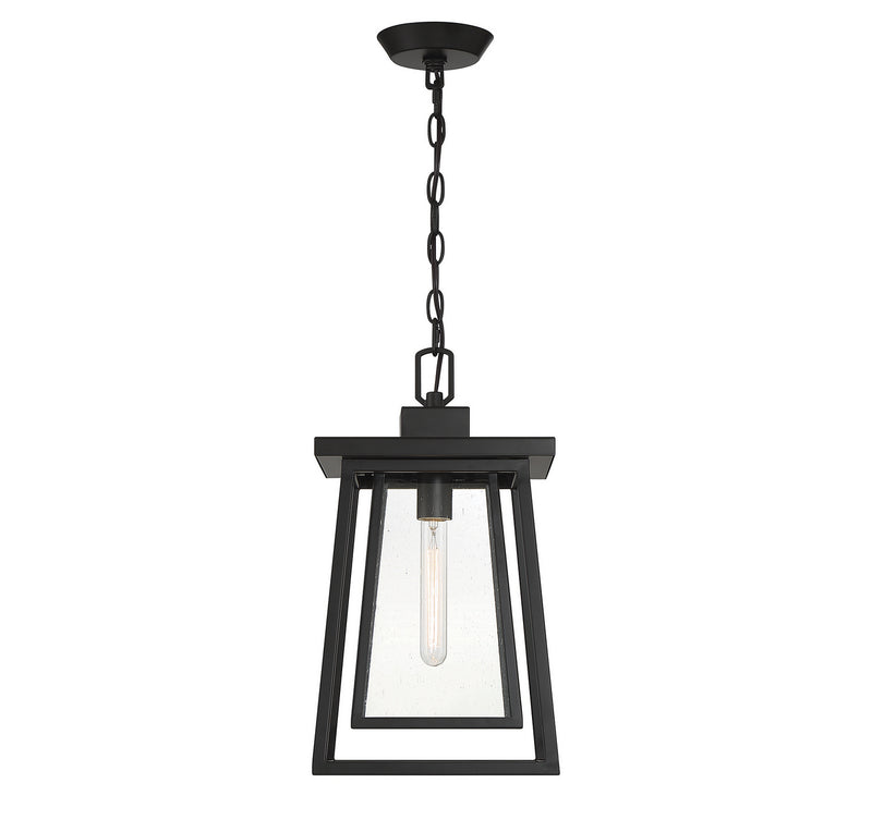 Savoy House 5-2025-BK One Light Outdoor Hanging Lantern, Matte Black (5)