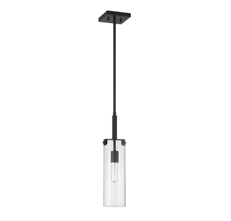 Savoy House 7-9770-1-89 One Light Mini-Pendant, Matte Black (2)