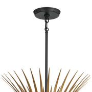 Kichler 52458BK Six Light Chandelier, Black (4)