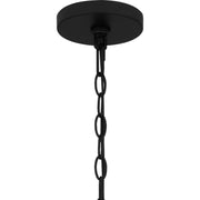 Quoizel BTC1512MBK Baltic One Light Mini Pendant, Matte Black Alternate Image.jpg