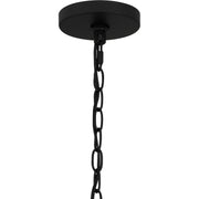 Quoizel BTC5025MBK Baltic Five Light Chandelier, Matte Black Alternate Image.jpg