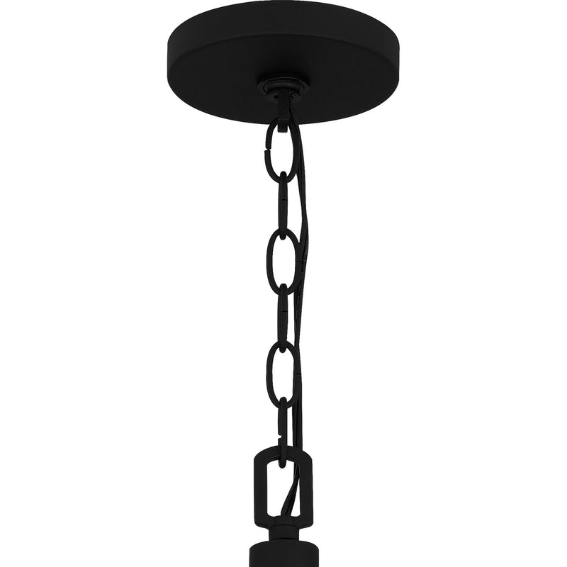 Quoizel FTS2821EK Fortress Five Light Pendant, Earth Black Alternate Image.jpg