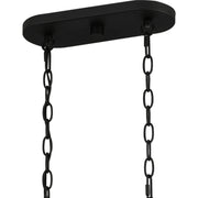 Quoizel FTS638EK Fortress Six Light Island Chandelier, Earth Black Alternate Image 6.jpg