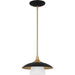 Quoizel FYT1512EK Fayette One Light Mini Pendant, Earth Black Alternate Image.jpg