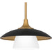 Quoizel FYT1512EK Fayette One Light Mini Pendant, Earth Black Alternate Image 4.jpg