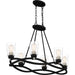 Quoizel OLK632EK Overlook Six Light Island Chandelier, Earth Black Alternate Image 3.jpg