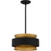 Quoizel QP5570EK Quoizel Pendant Three Light Pendant, Earth Black Alternate Image.jpg