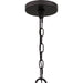 Quoizel QP5571WT Quoizel Pendant One Light Pendant, Western Bronze Alternate Image.jpg