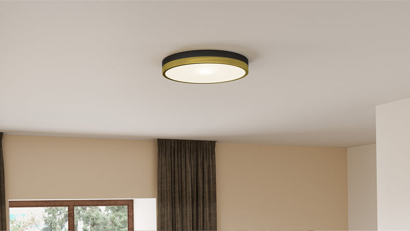 Quoizel WLN1615MBKG Weldin LED Flush Mount, Matte Black Gold Alternate Image 6.jpg