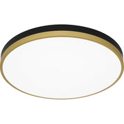 Quoizel WLN1620MBKG Weldin LED Flush Mount, Matte Black Gold Alternate Image 3.jpg