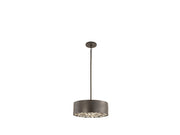 Savoy House 6-1272-4-50 Four Light Convertible Semi-Flush/Pendant, Black Cashmere (3)