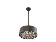 Savoy House 6-1272-4-50 Four Light Convertible Semi-Flush/Pendant, Black Cashmere (5)