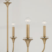 Capital Lighting 448951AD Presley Five Light Chandelier, Aged Brass Alternate Image 3.jpg