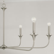 Capital Lighting 448961BN Presley Six Light Chandelier, Brushed Nickel Alternate Image 3.jpg