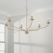 Capital Lighting 449961MA Dolan Six Light Chandelier, Matte Brass Alternate Image 2.jpg