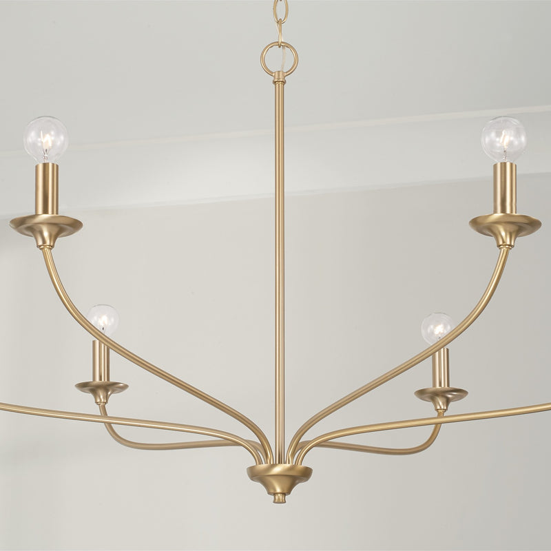 Capital Lighting 449961MA Dolan Six Light Chandelier, Matte Brass Alternate Image 3.jpg