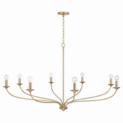 Capital Lighting 449981MA Dolan Eight Light Chandelier, Matte Brass Alternate Image 3.jpg