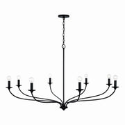 Capital Lighting 449981MB Dolan Eight Light Chandelier, Matte Black Alternate Image.jpg