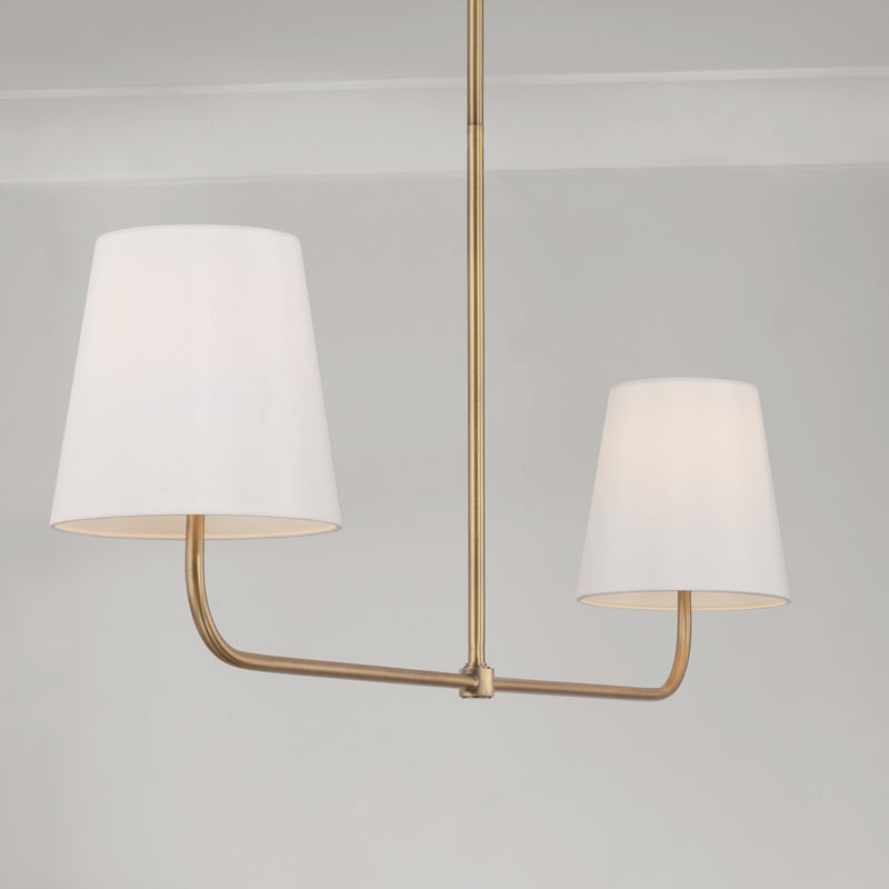 Capital Lighting 849421AD Brody Two Light Island Pendant, Aged Brass Alternate Image 3.jpg