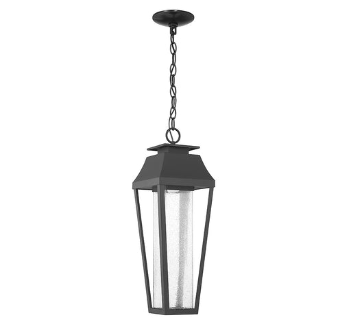 Savoy House 5-357-BK LED Outdoor Hanging Lantern, Matte Black (2)