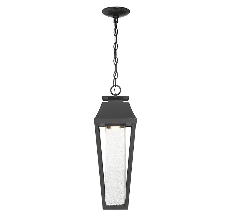 Savoy House 5-357-BK LED Outdoor Hanging Lantern, Matte Black (3)