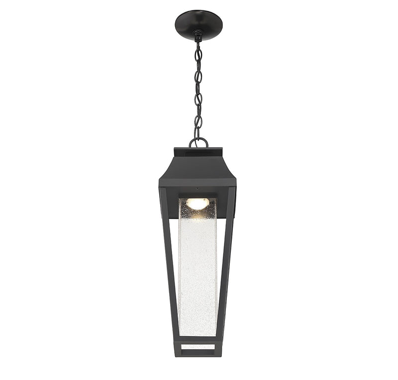Savoy House 5-357-BK LED Outdoor Hanging Lantern, Matte Black (4)