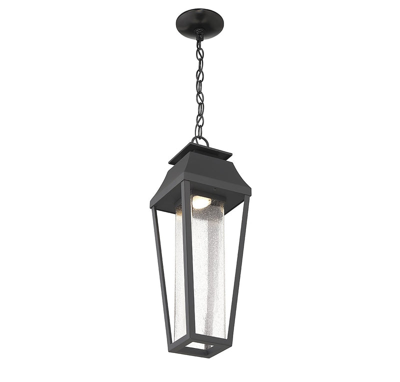 Savoy House 5-357-BK LED Outdoor Hanging Lantern, Matte Black (5)