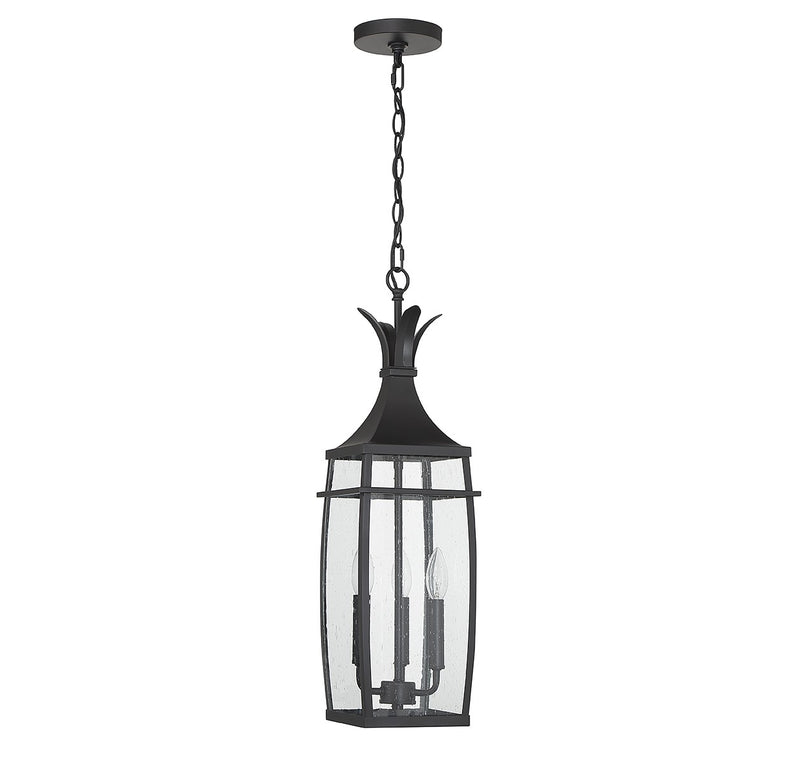 Savoy House 5-763-BK Three Light Outdoor Hanging Lantern, Matte Black (2)