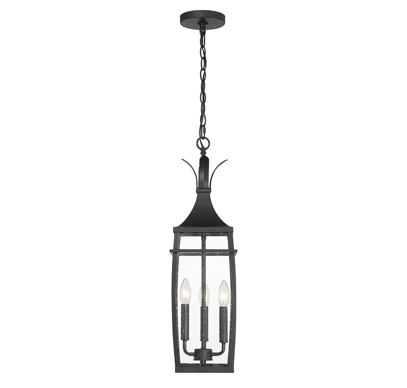Savoy House 5-763-BK Three Light Outdoor Hanging Lantern, Matte Black (4)