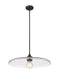 Z-Lite 821P24-MB Paloma One Light Pendant, Matte Black Alternate Image.jpg