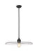 Z-Lite 821P24-MB Paloma One Light Pendant, Matte Black Alternate Image 2.jpg