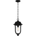 Quoizel MUL1909MBK Mulberry One Light Outdoor Hanging Lantern, Matte Black Alternate Image 2.jpg