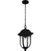 Quoizel MUL1909MBK Mulberry One Light Outdoor Hanging Lantern, Matte Black Alternate Image 3.jpg