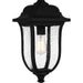 Quoizel MUL1909MBK Mulberry One Light Outdoor Hanging Lantern, Matte Black Alternate Image 4.jpg