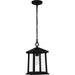 Quoizel SAT1909MBK Satterfield One Light Outdoor Hanging Lantern, Matte Black Alternate Image.jpg