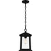 Quoizel SAT1909MBK Satterfield One Light Outdoor Hanging Lantern, Matte Black Alternate Image 2.jpg