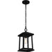 Quoizel SAT1909MBK Satterfield One Light Outdoor Hanging Lantern, Matte Black Alternate Image 3.jpg