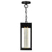 CWI Lighting 1696P5-1-101 Rochester LED Outdoor Hanging Lantern Black Alt 2.jpg