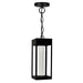 CWI Lighting 1696P5-1-101 Rochester LED Outdoor Hanging Lantern Black Alt 4.jpg