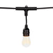 American Lighting SPKPL-PVLSF-24-24-BK String Light Main Image.jpg
