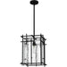 Quoizel DPN1512MBK Daphne One Light Pendant, Matte Black Alternate Image.jpg