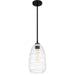 Quoizel QPP6165MBK Asher One Light Mini Pendant, Matte Black Alternate Image 3.jpg